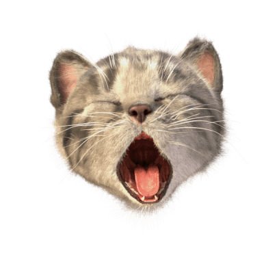 Little Kitten Stickers messages sticker-3