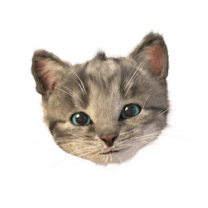 Little Kitten Stickers messages sticker-0