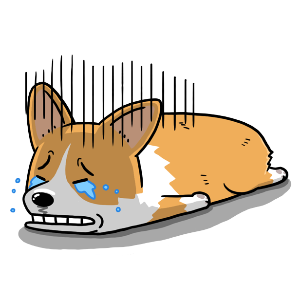 Welshcorgi Mr.LEE & Friends messages sticker-4