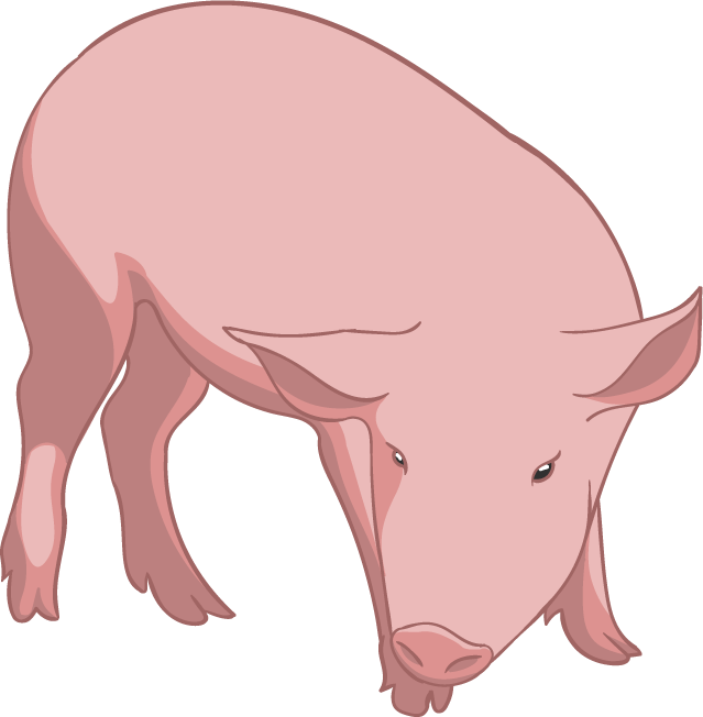 Animals Of Farm messages sticker-6