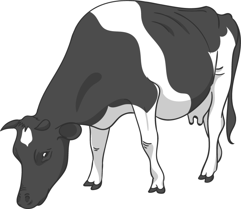 Animals Of Farm messages sticker-9