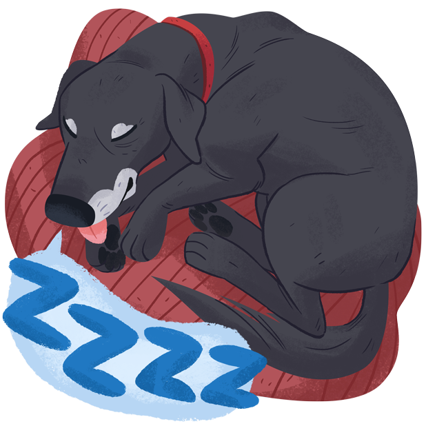Mr. Cooper Stickers messages sticker-2