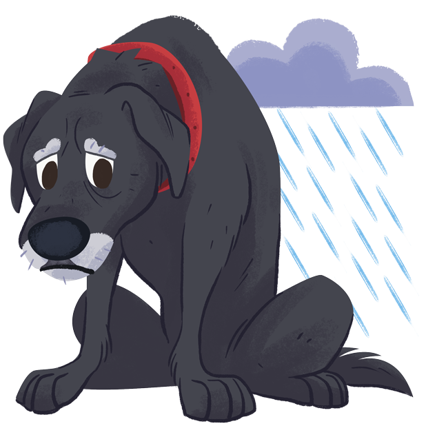 Mr. Cooper Stickers messages sticker-6