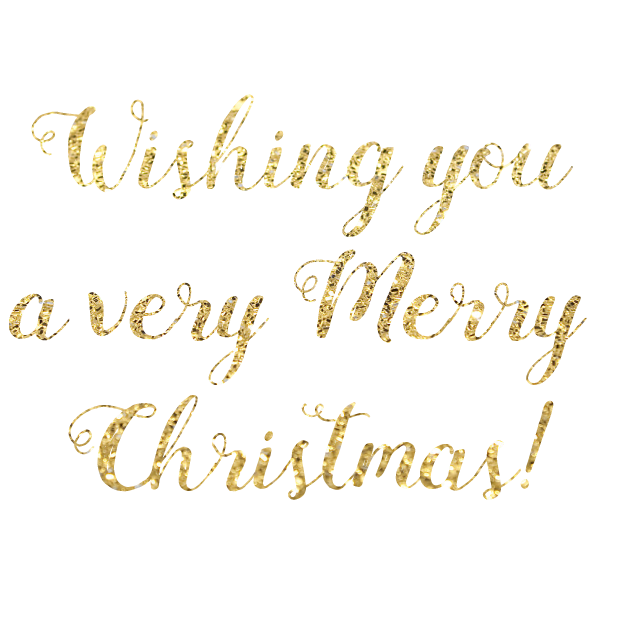 Christmas Glitter - Animated Wishes messages sticker-6