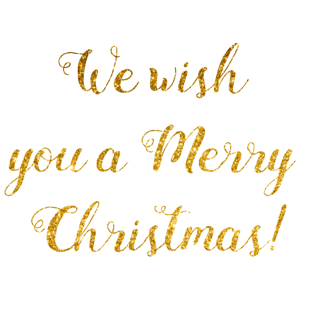 Christmas Glitter - Animated Wishes messages sticker-8
