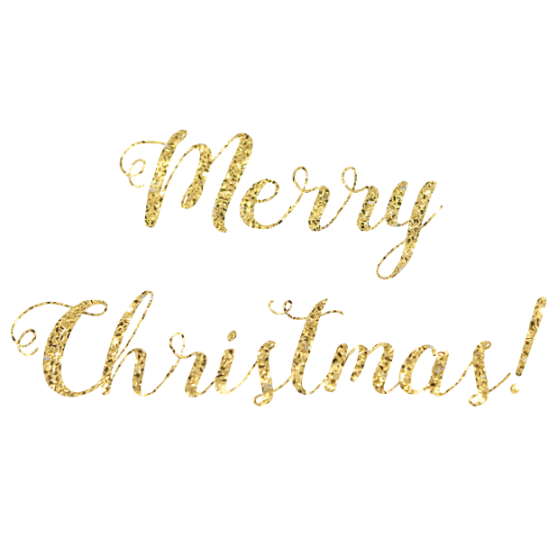 Christmas Glitter - Animated Wishes messages sticker-0
