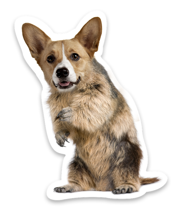 Animal Mashup Stickers messages sticker-0