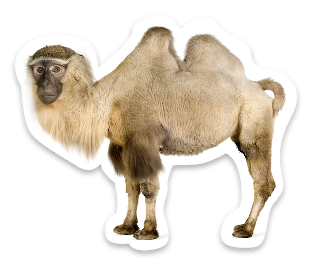 Animal Mashup Stickers messages sticker-11