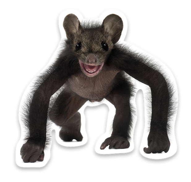 Animal Mashup Stickers messages sticker-6