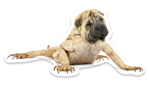 Animal Mashup Stickers messages sticker-1