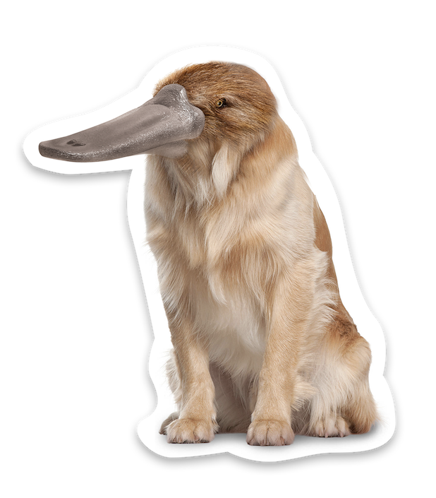 Animal Mashup Stickers messages sticker-8