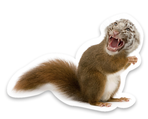 Animal Mashup Stickers messages sticker-5