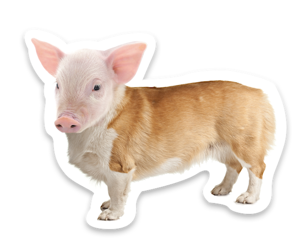 Animal Mashup Stickers messages sticker-10