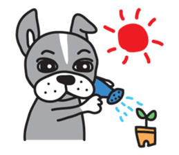 Your Cute Boston Terrier Dog Stickers messages sticker-10