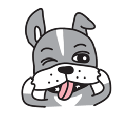 Your Cute Boston Terrier Dog Stickers messages sticker-0