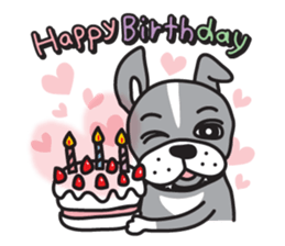 Your Cute Boston Terrier Dog Stickers messages sticker-11