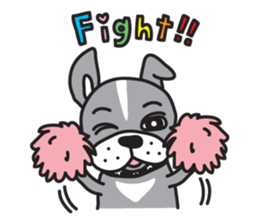 Your Cute Boston Terrier Dog Stickers messages sticker-2