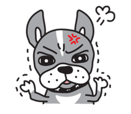 Your Cute Boston Terrier Dog Stickers messages sticker-1