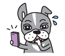 Your Cute Boston Terrier Dog Stickers messages sticker-8