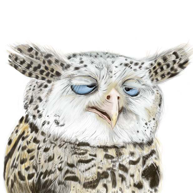 Owl - Daily Moods messages sticker-0
