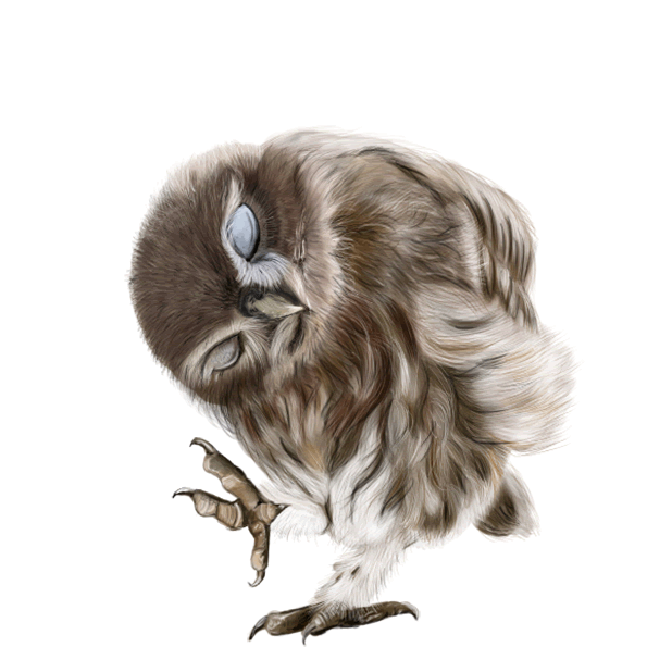Owl - Daily Moods messages sticker-3
