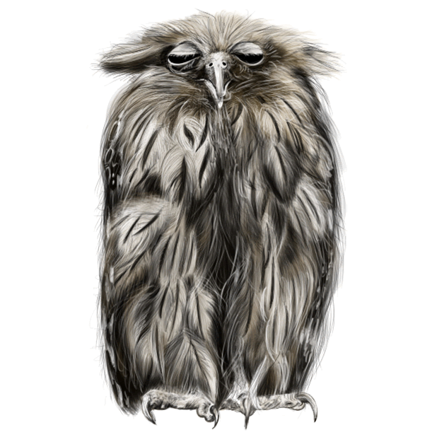 Owl - Daily Moods messages sticker-4