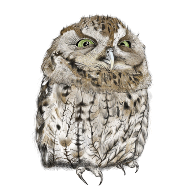 Owl - Daily Moods messages sticker-5