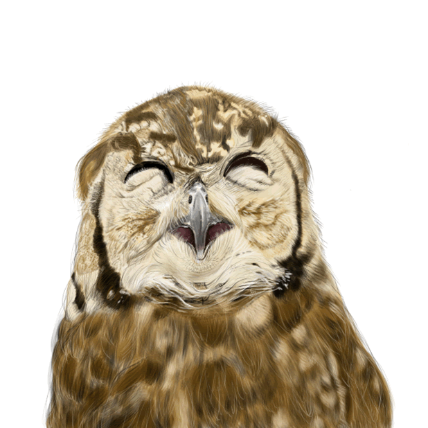 Owl - Daily Moods messages sticker-6