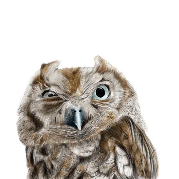 Owl - Daily Moods messages sticker-1