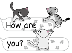 Cat Cat Cat English Version Stickers Pack messages sticker-0
