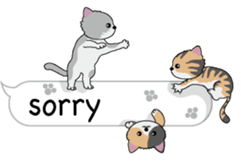 Cat Cat Cat English Version Stickers Pack messages sticker-11
