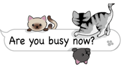 Cat Cat Cat English Version Stickers Pack messages sticker-4