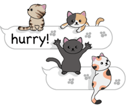 Cat Cat Cat English Version Stickers Pack messages sticker-10