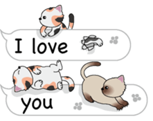 Cat Cat Cat English Version Stickers Pack messages sticker-3