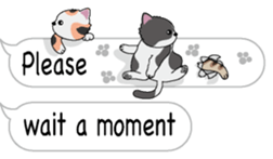 Cat Cat Cat English Version Stickers Pack messages sticker-1
