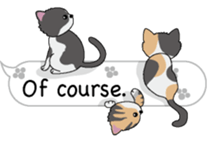 Cat Cat Cat English Version Stickers Pack messages sticker-6
