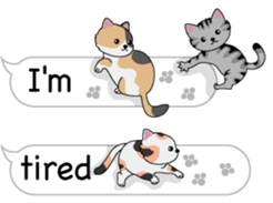 Cat Cat Cat English Version Stickers Pack messages sticker-5