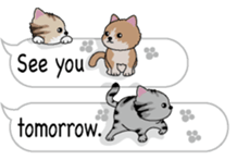 Cat Cat Cat English Version Stickers Pack messages sticker-9
