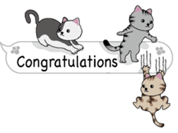 Cat Cat Cat English Version Stickers Pack messages sticker-7