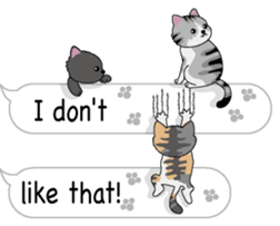 Cat Cat Cat English Version Stickers Pack messages sticker-2