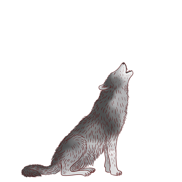 Jazzy World Animals messages sticker-2