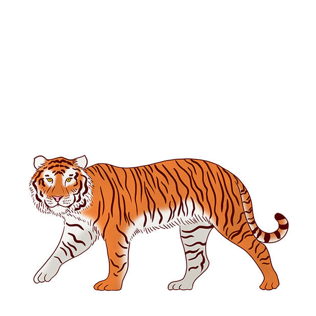 Jazzy World Animals messages sticker-4