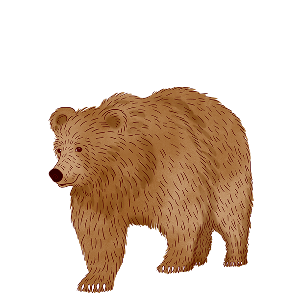 Jazzy World Animals messages sticker-8
