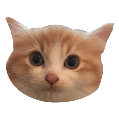 The Razaks messages sticker-6