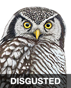 iBird Stickers messages sticker-0