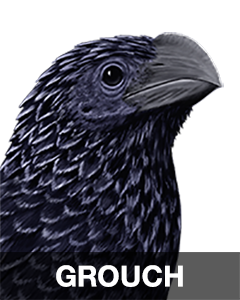 iBird Stickers messages sticker-8