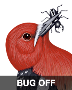 iBird Stickers messages sticker-5