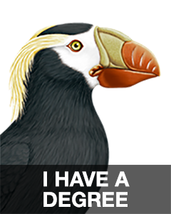 iBird Stickers messages sticker-6