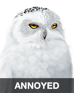 iBird Stickers messages sticker-2