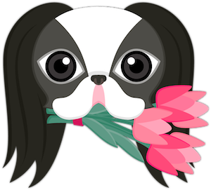Japanese Chin Puppy Lover messages sticker-2